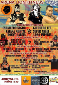 source: http://luchadb.com/posters/uploads/20250819B/68a48db1efb19.png