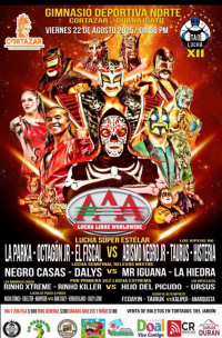 source: http://luchadb.com/posters/uploads/20250820A/68a68e2f2fa25.png