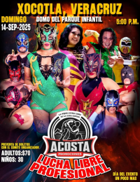 source: http://luchadb.com/posters/uploads/20250828A/68b083b61600b.png