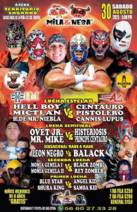 source: http://luchadb.com/posters/uploads/20250828D/68b08c5594a3a.png