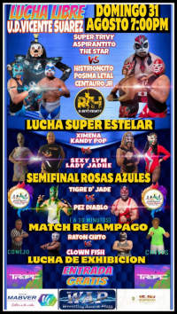 source: http://luchadb.com/posters/uploads/20250828E/68b08d04414ce.png