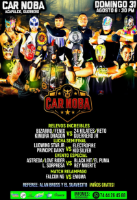 source: luchadb.com