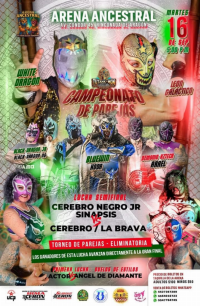 source: http://luchadb.com/posters/uploads/20250902A/68b7947272bbf.png