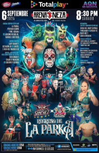 source: http://luchadb.com/posters/uploads/20250902B/68b795eb78fc2.png