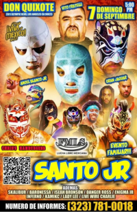 source: http://luchadb.com/posters/uploads/20250902B/68b7beab526e5.png