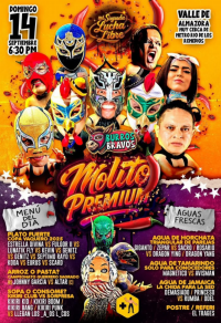 source: http://luchadb.com/posters/uploads/20250903A/68b8d94b8d36f.png