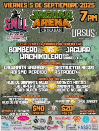 source: http://luchadb.com/posters/uploads/20250904A/68b9921b34715.png