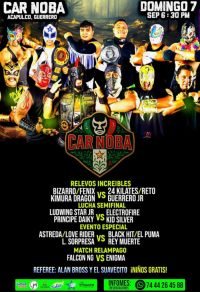 source: http://luchadb.com/posters/uploads/20250904C/68ba28b1459e3.png
