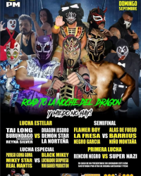 source: http://luchadb.com/posters/uploads/20250905A/68baf78ca3664.png
