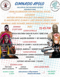 source: http://luchadb.com/posters/uploads/20250909A/68c049a845249.png
