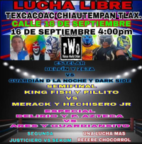 source: http://luchadb.com/posters/uploads/20250914A/68c6f748f147f.png