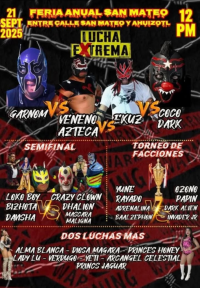 source: luchadb.com