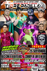 source: http://luchadb.com/posters/uploads/20250921A/68d0805108df3.png
