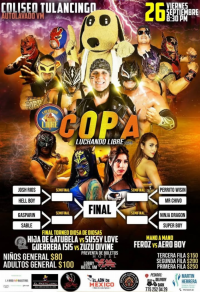 source: http://luchadb.com/posters/uploads/20250926A/68d6fa4577826.png