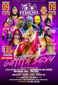 source: http://luchadb.com/posters/uploads/20250927A/68d83b1e70160.png