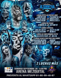 source: http://luchadb.com/posters/uploads/20250927B/68d8444855f9a.png