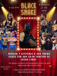 source: http://luchadb.com/posters/uploads/20250928B/68da105dd5d79.png