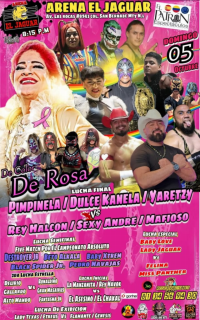 source: http://luchadb.com/posters/uploads/20251005A/68e2a40eded41.png