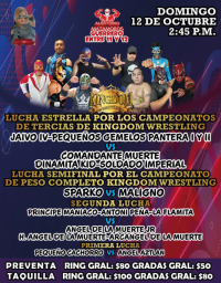 source: http://luchadb.com/posters/uploads/20251008A/68e70f6ae2077.png