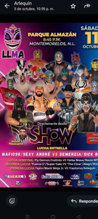 source: http://luchadb.com/posters/uploads/20251012B/68ec1707d4462.png