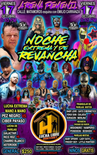 source: http://luchadb.com/posters/uploads/20251014A/68ee74af1a3f5.png