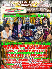 source: http://luchadb.com/posters/uploads/20251016A/68f1a2a9f2431.png