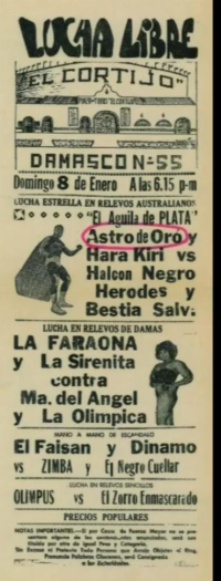source: http://luchadb.com/posters/uploads/20251016Rob1/19890108.jpeg