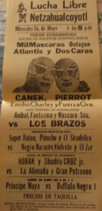 source: http://luchadb.com/posters/uploads/20251016Rob5/19910501.jpeg
