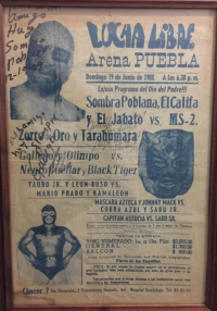 source: http://luchadb.com/posters/uploads/20251016Rob5/WhatsApp%20Image%202025-10-16%20at%206.16.52%20PM%20%282%29.jpeg