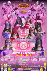 source: http://luchadb.com/posters/uploads/20251022B/68f927700d004.png