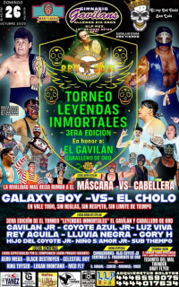 source: http://luchadb.com/posters/uploads/20251023A/68fae865984f1.png