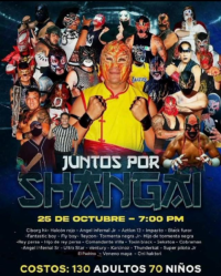 source: http://luchadb.com/posters/uploads/20251025A/68fcef53bbe83.png