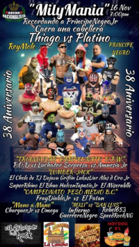 source: http://luchadb.com/posters/uploads/20251027R/68ff8cd579ee6.png