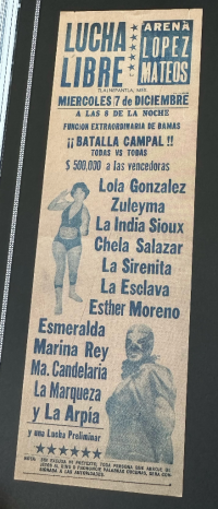 source: http://luchadb.com/posters/uploads/20251028R/safIKz1k.jpg