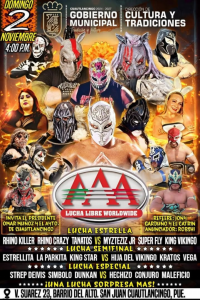 source: http://luchadb.com/posters/uploads/20251031A/6904ede95ffec.png