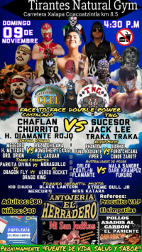 source: http://luchadb.com/posters/uploads/20251103A/6908becc28a7c.png