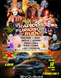 source: http://luchadb.com/posters/uploads/20251103A/69095b5a668ed.png