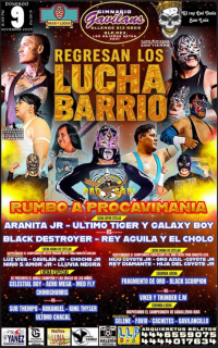 source: http://luchadb.com/posters/uploads/20251103A/690971132ce3e.png