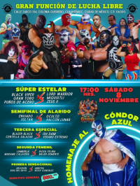 source: http://luchadb.com/posters/uploads/20251103A/69097531a3908.png