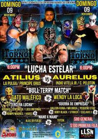 source: http://luchadb.com/posters/uploads/20251104A/690a0c92ea8cf.png