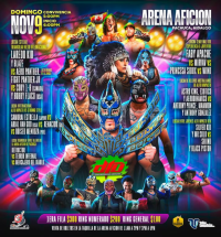 source: http://luchadb.com/posters/uploads/20251104A/690aa35f16e6b.png