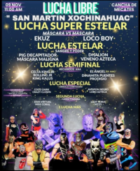 source: http://luchadb.com/posters/uploads/20251105A/690b70535d2bc.png