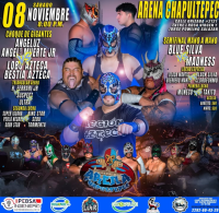 source: http://luchadb.com/posters/uploads/20251105A/690b75976342d.png