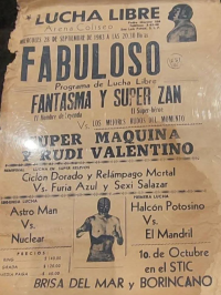 source: http://luchadb.com/posters/uploads/20251106-1/FB_IMG_1762507453238.jpg