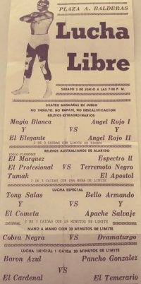 source: http://luchadb.com/posters/uploads/20251106-1/FB_IMG_1762508368622.jpg