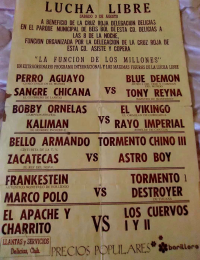 source: http://luchadb.com/posters/uploads/20251106-1/FB_IMG_1762508653756.jpg