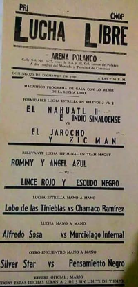 source: http://luchadb.com/posters/uploads/20251106-1/FB_IMG_1762508676279.jpg