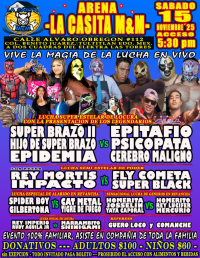 source: http://luchadb.com/posters/uploads/20251106A/690d08cb6fb59.png