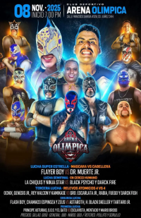 source: http://luchadb.com/posters/uploads/20251106A/690d5ba4238ab.png