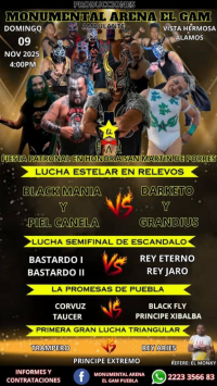 source: http://luchadb.com/posters/uploads/20251106B/690d5cbb4b7bf.png